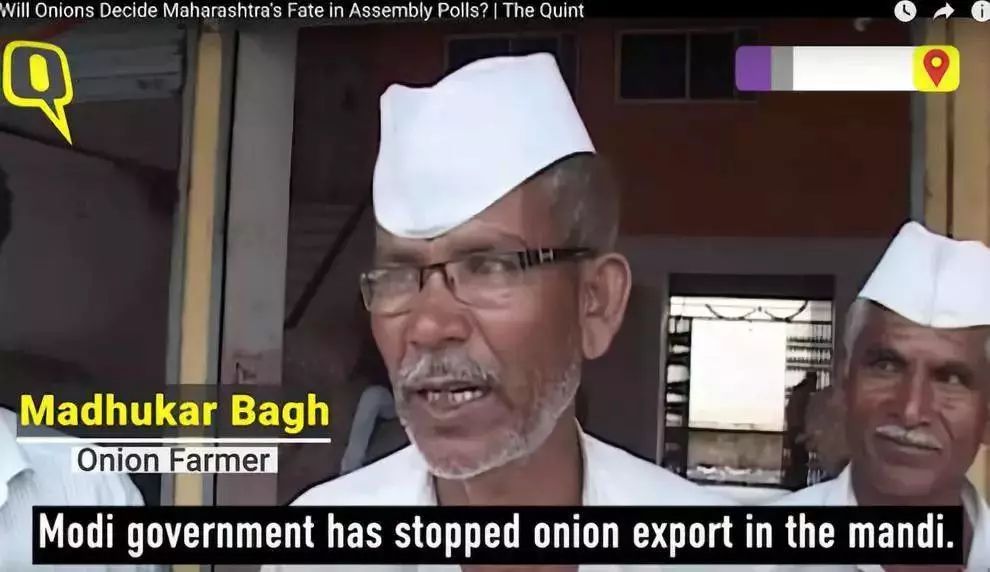 一颗洋葱视频,一颗洋葱让我泪流满面