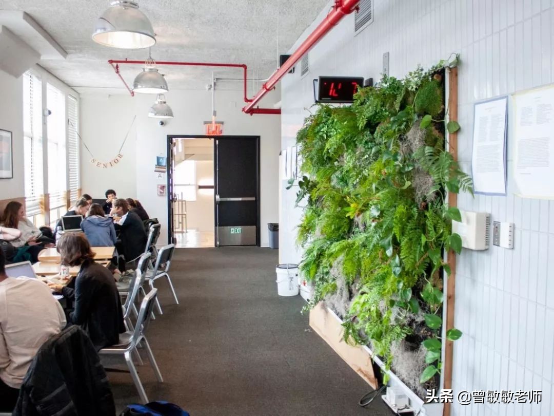 学费40万、入学要考中文，汤姆克鲁斯女儿上的这所学校有何魅力？