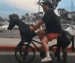 这只鹦鹉一直以为他是一只猴，所以每天都在重复做这个动作