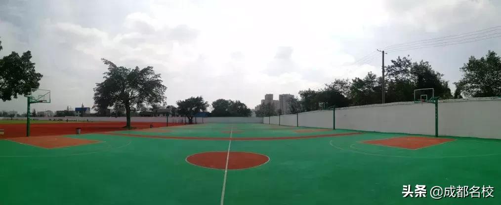 一所好学校，藏不住！成都石室外语学校的家长，深情为学校代言！