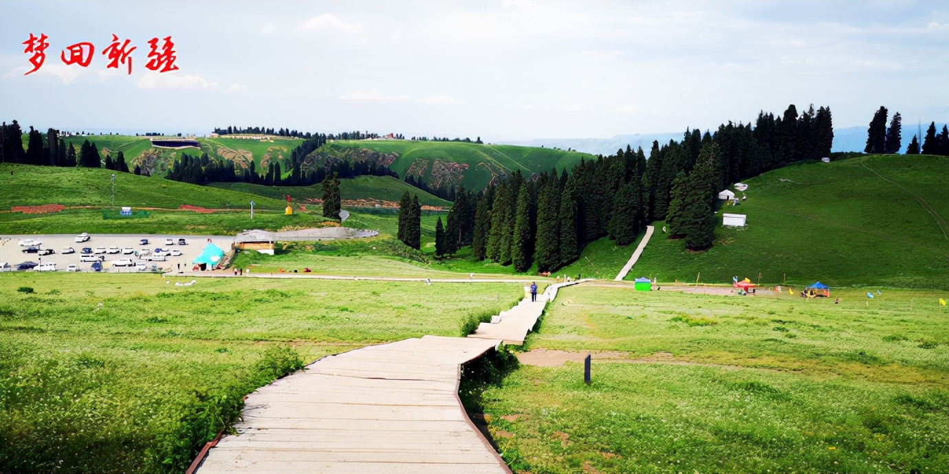 梦回新疆梦回拉萨,梦回伊宁草原视频