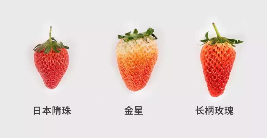 一下子吃了很多草莓,一下子吃了300g草莓