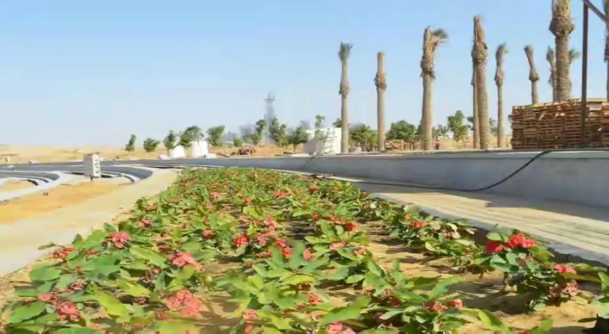 花3000亿赌国运：埃及为什么借钱也要建新首都？