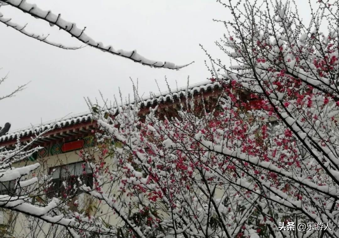 中国雪后最美的十个城市,中国大雪纷飞又能看海的城市