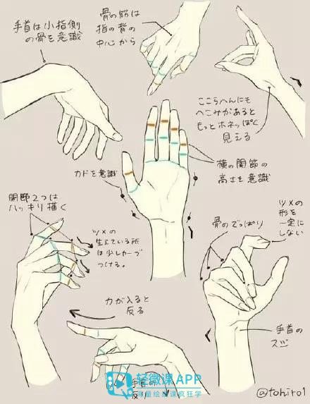 两手相对的动漫手势怎么画,动漫手势教程简单