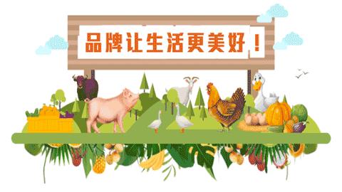 如何应对回南天,户外应对雷暴天气的最佳方法