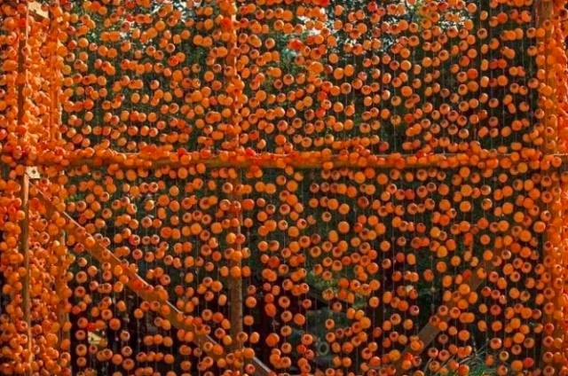 广西是一个环境优美的地方,广西是一个非常有意思的地方