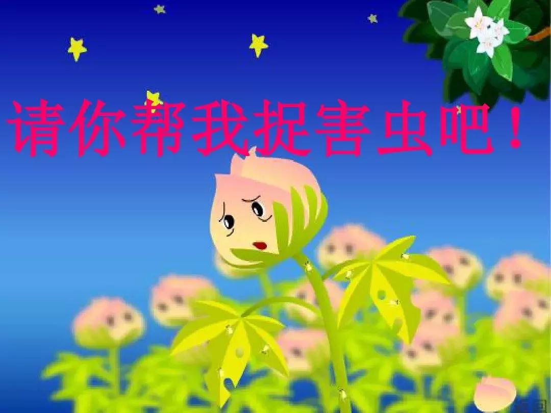 一年级下册语文19课棉花姑娘,一年级棉花姑娘课文笔记