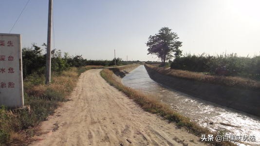 我在废都流浪之回家（二）