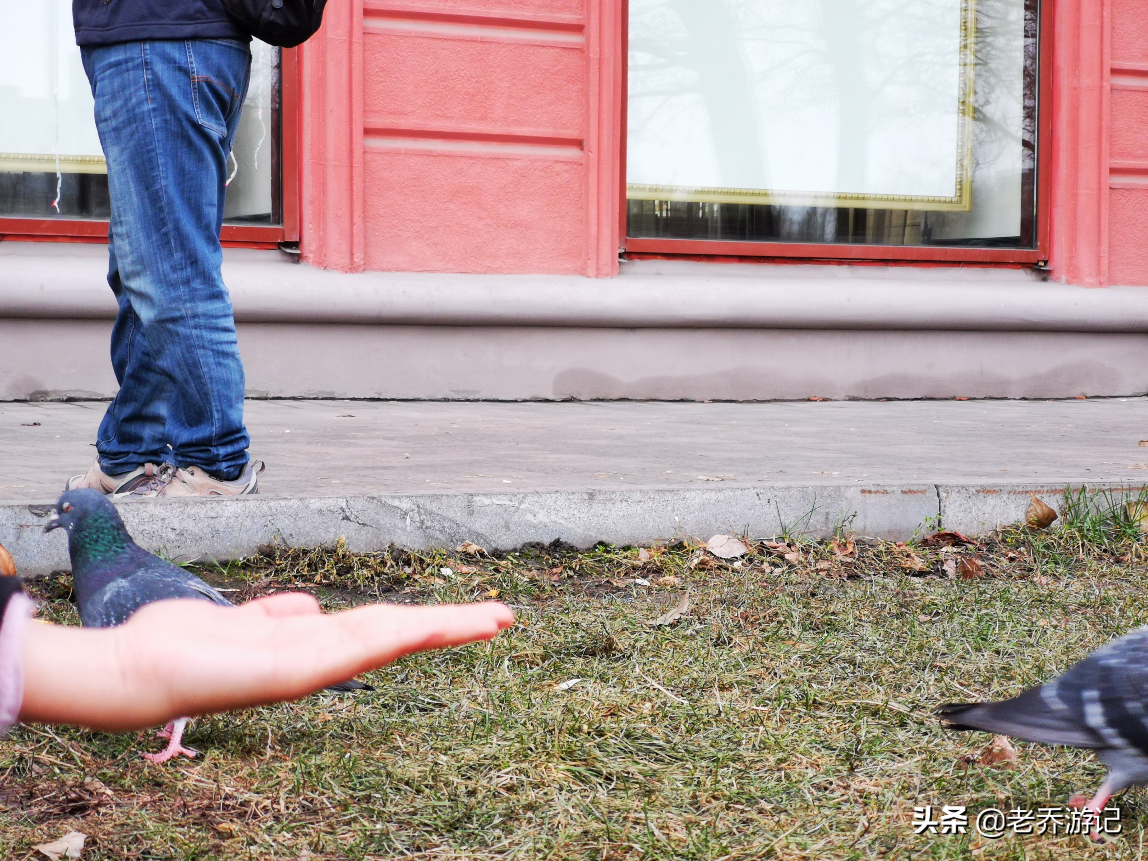 伏尔加酒,伏尔加酒俄罗斯