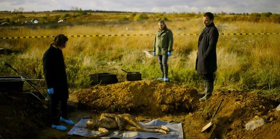 最香艳猎奇的犯罪片，竟然出了加长版