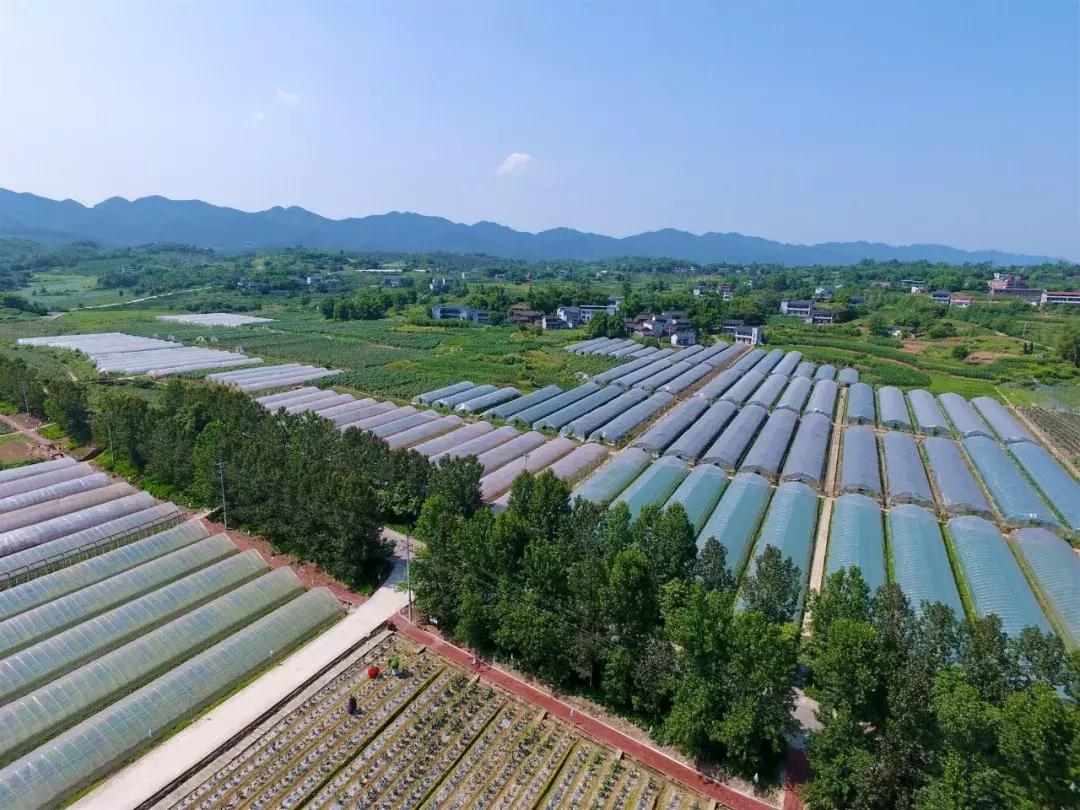 这一生必须去一次的地方,这一生要去一次丽江