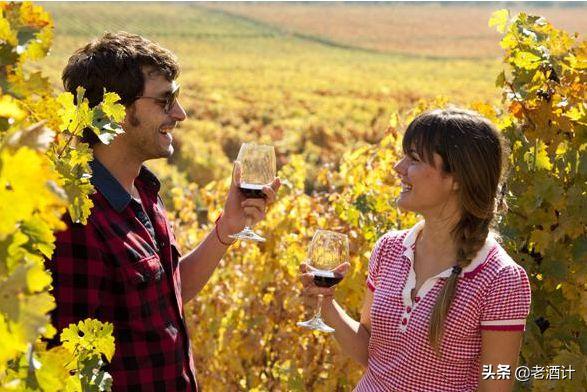智利葡萄酒和宁夏葡萄酒,法国葡萄酒和智利葡萄酒