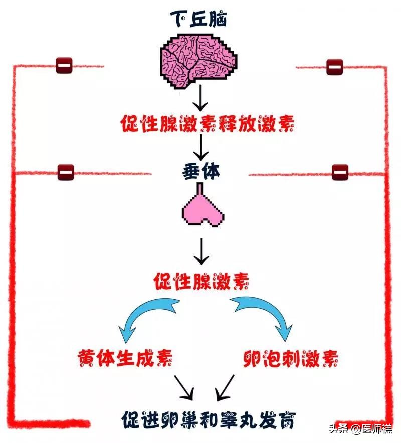 避孕安全期前七后八是什么意思,避孕所谓的前七后八什么意思