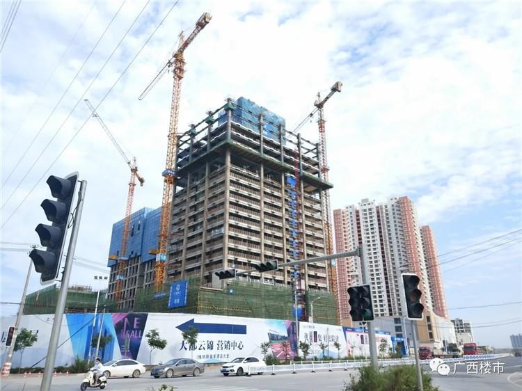 凤岭北+1号线旁+二中街对面难怪这个39-61㎡公寓那么火