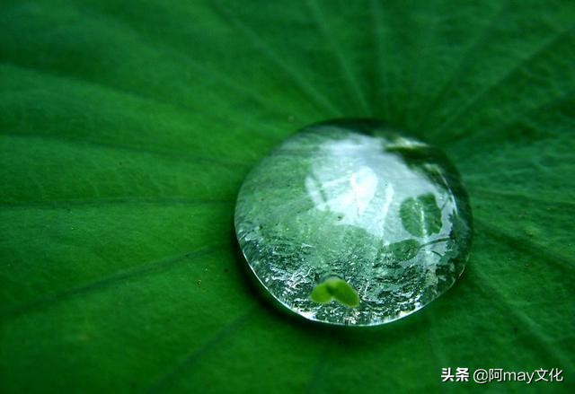 35mm微距镜头拍摄技巧,怎么用18-55的镜头拍人像