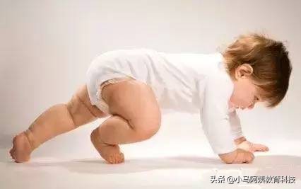 爬行三要素,爬行的3个步骤