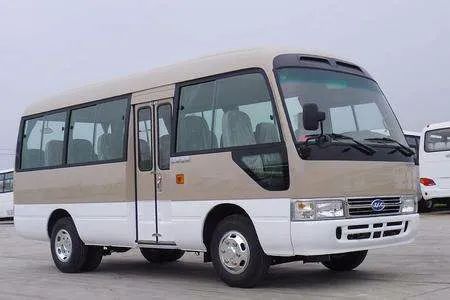 真考斯特和仿考斯特,丰田考斯特各个版本