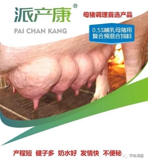 母猪频繁流产！莫慌，最全面的助产方案都在这里