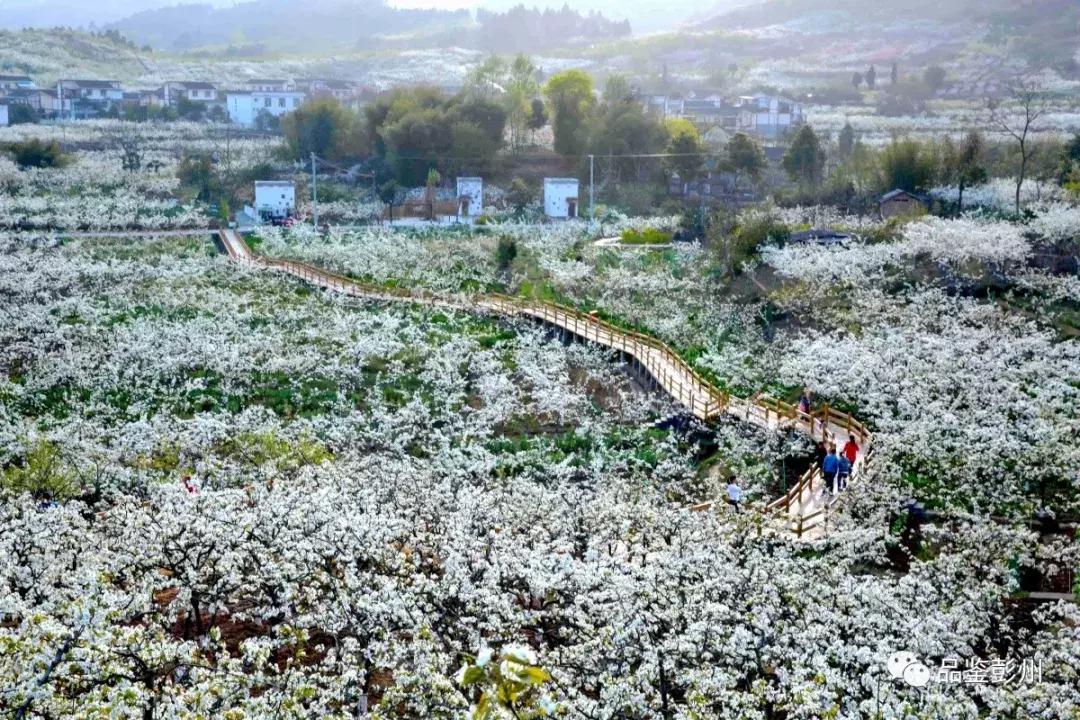 铅山县葛仙山,去葛仙山攻略