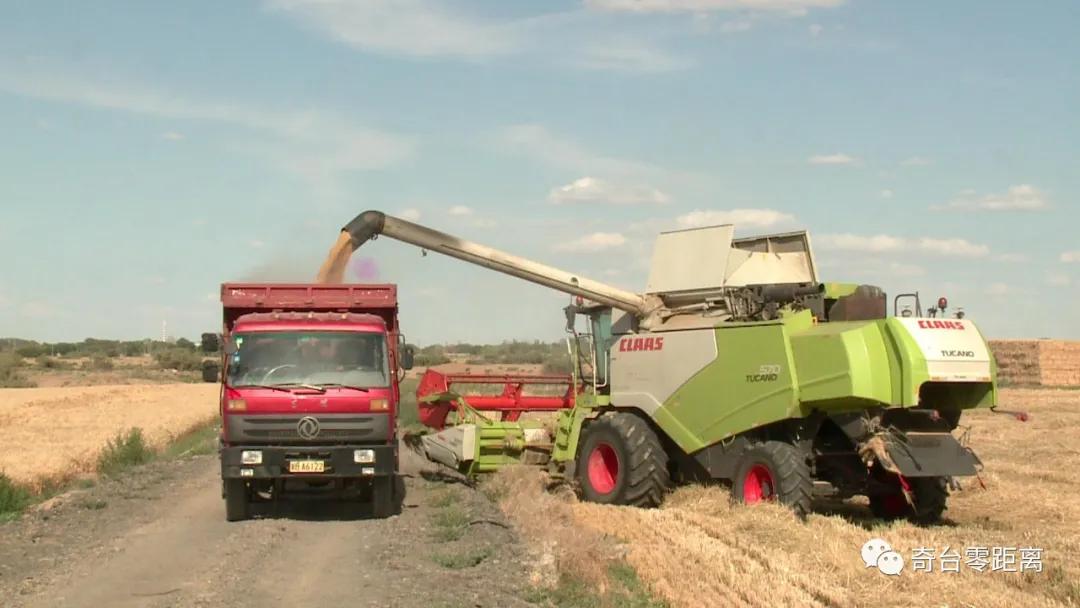 最新型无人驾驶多功能联合收割机,收草联合收割机最新型
