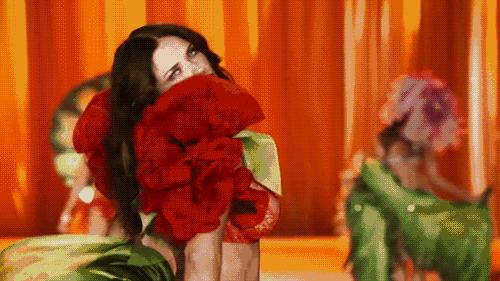 世界超模维密走秀图集,维密超模刘雯图集