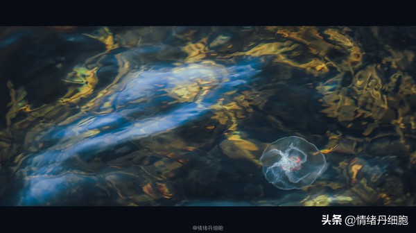 可以去玩一整天的地方,能玩一两天的地方