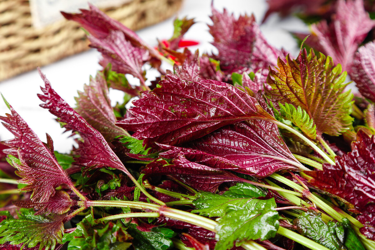 做泡菜别太酸,三步就能泡出好吃的四川泡菜