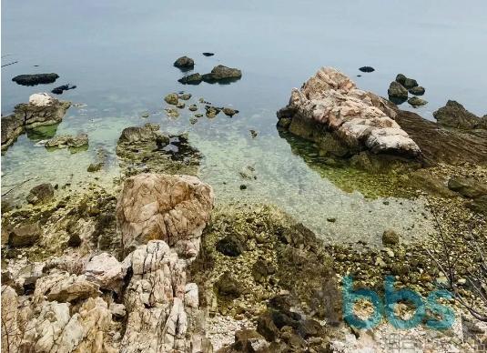 妈抛弃！牟平似乎成了被烟台遗忘的区域，何时能够迎来*局破**？