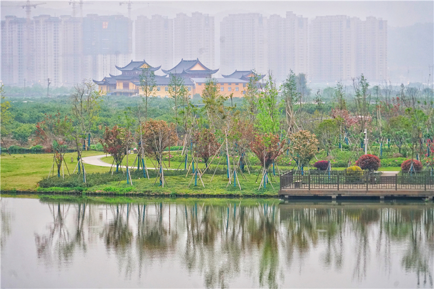 江南水乡旅游攻略四天三晚,温州旅行攻略四天三夜