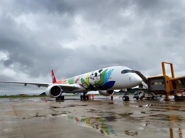 中国最好的彩绘机,让人眼前一亮的手工作品