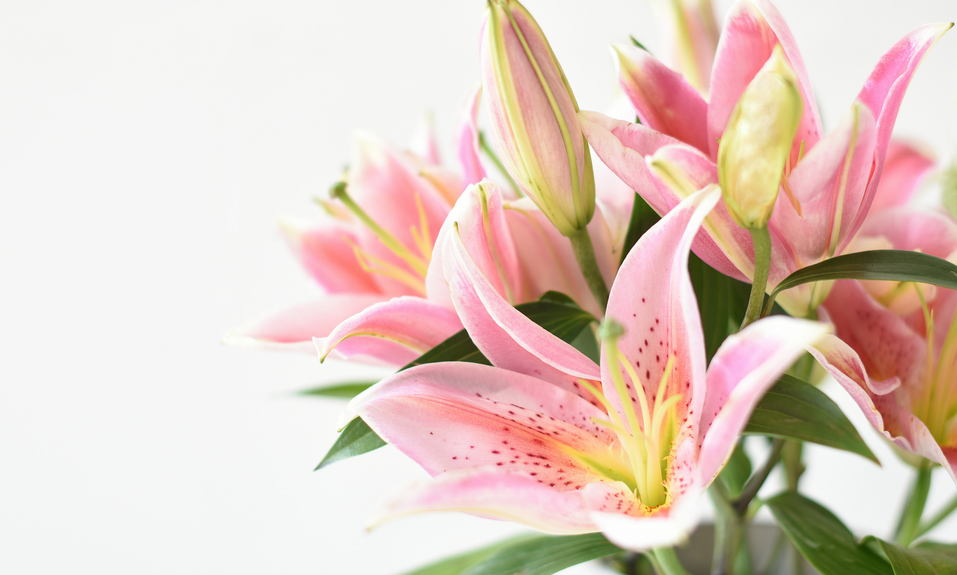 日久见人心换种说法,俗话说日久见人心一点没错