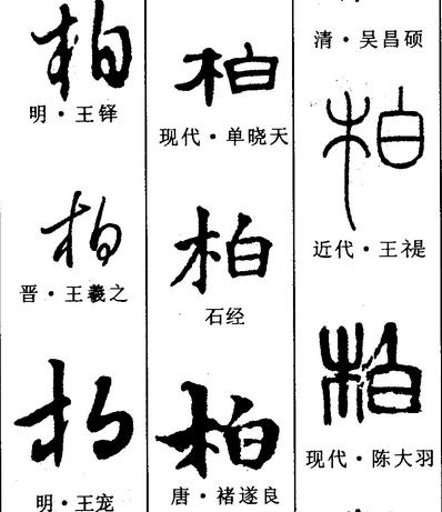 柏作为姓氏的时候该读什么,柏作为姓氏应该怎么念