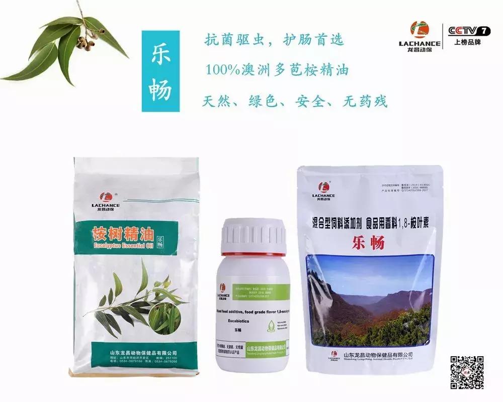 河蟹黑鳃有肠炎怎么处理,河蟹黑鳃病的症状与治疗