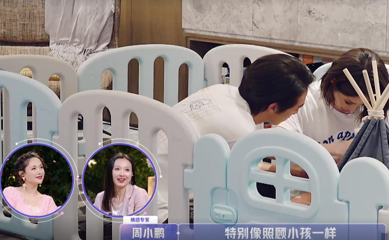 吉娃娃一只眼睛凸,吉娃娃一只眼睛白膜