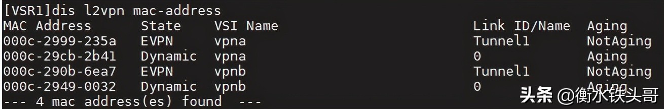 EVPN小实验：分布式EVPN网关配置