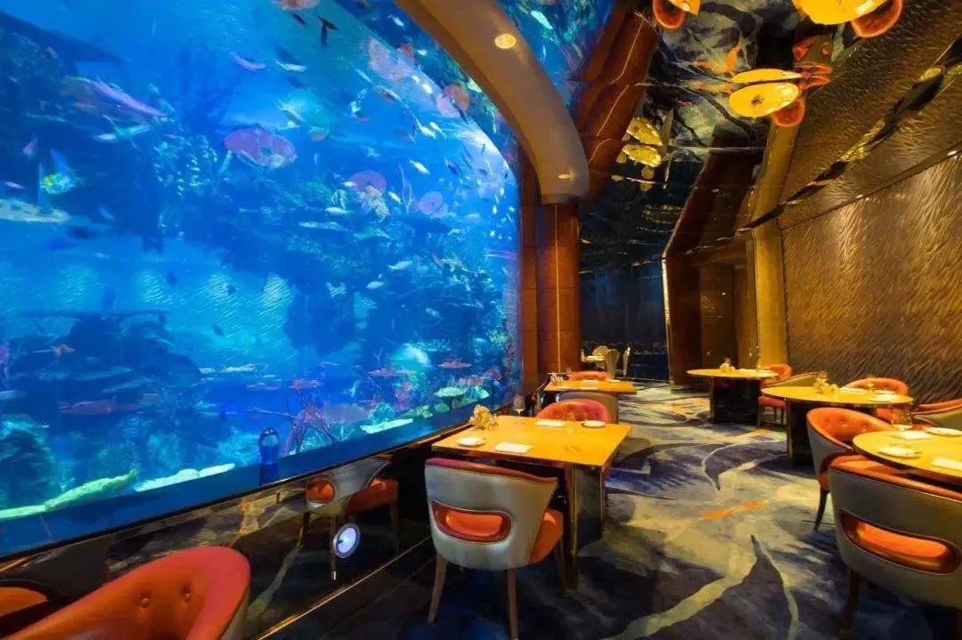 靠捡垃圾成了千亿富翁完整版,捡垃圾变成百万富翁