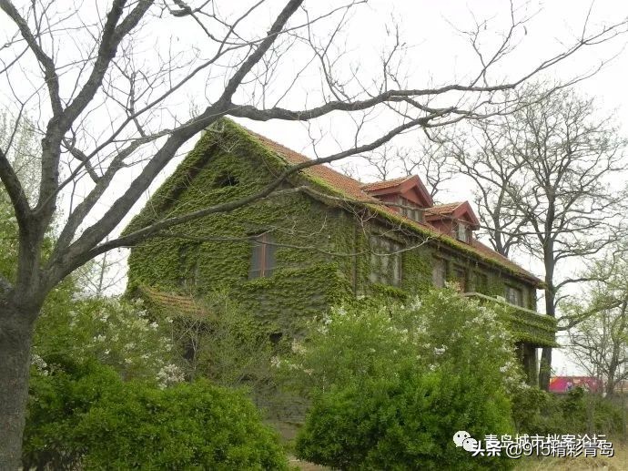 即墨一中简介,青岛即墨一中现状