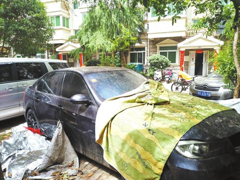 树上滴油在车身上怎么洗不掉,树上滴树胶到车上