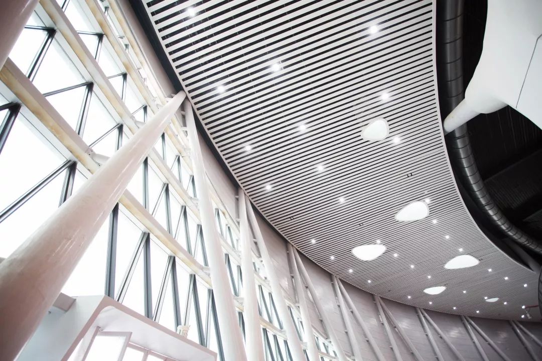 全域旅游星空屋顶“砚生水墨”.来肇庆新区体育中心领略现代美学