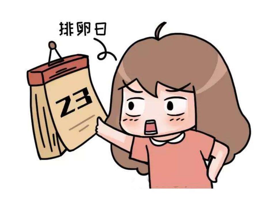 备孕请注意！女性身体出现6个特征，说明排卵期到了，要把握时机