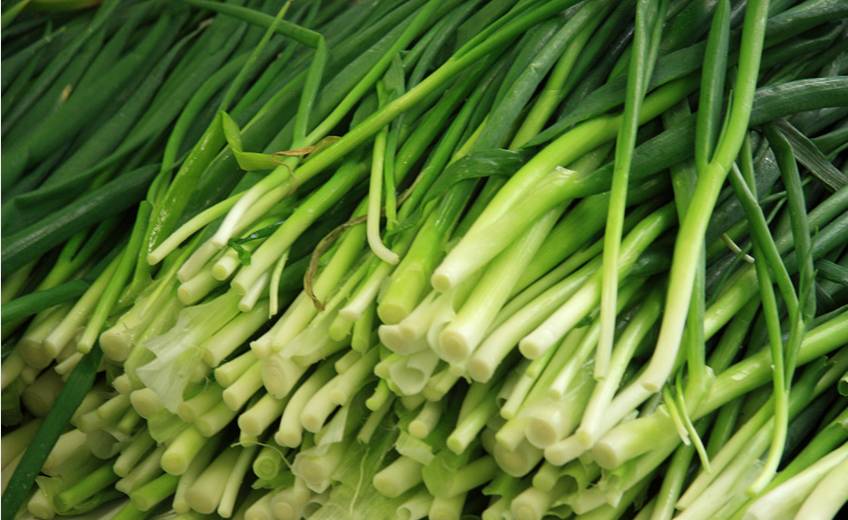 终于知道买的韭菜为啥那么干净,粗韭菜和细韭菜有什么区别哪个好