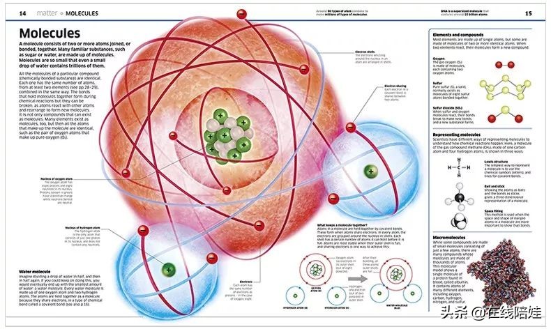 dk知识大百科全套,dk知识大百科书金银版
