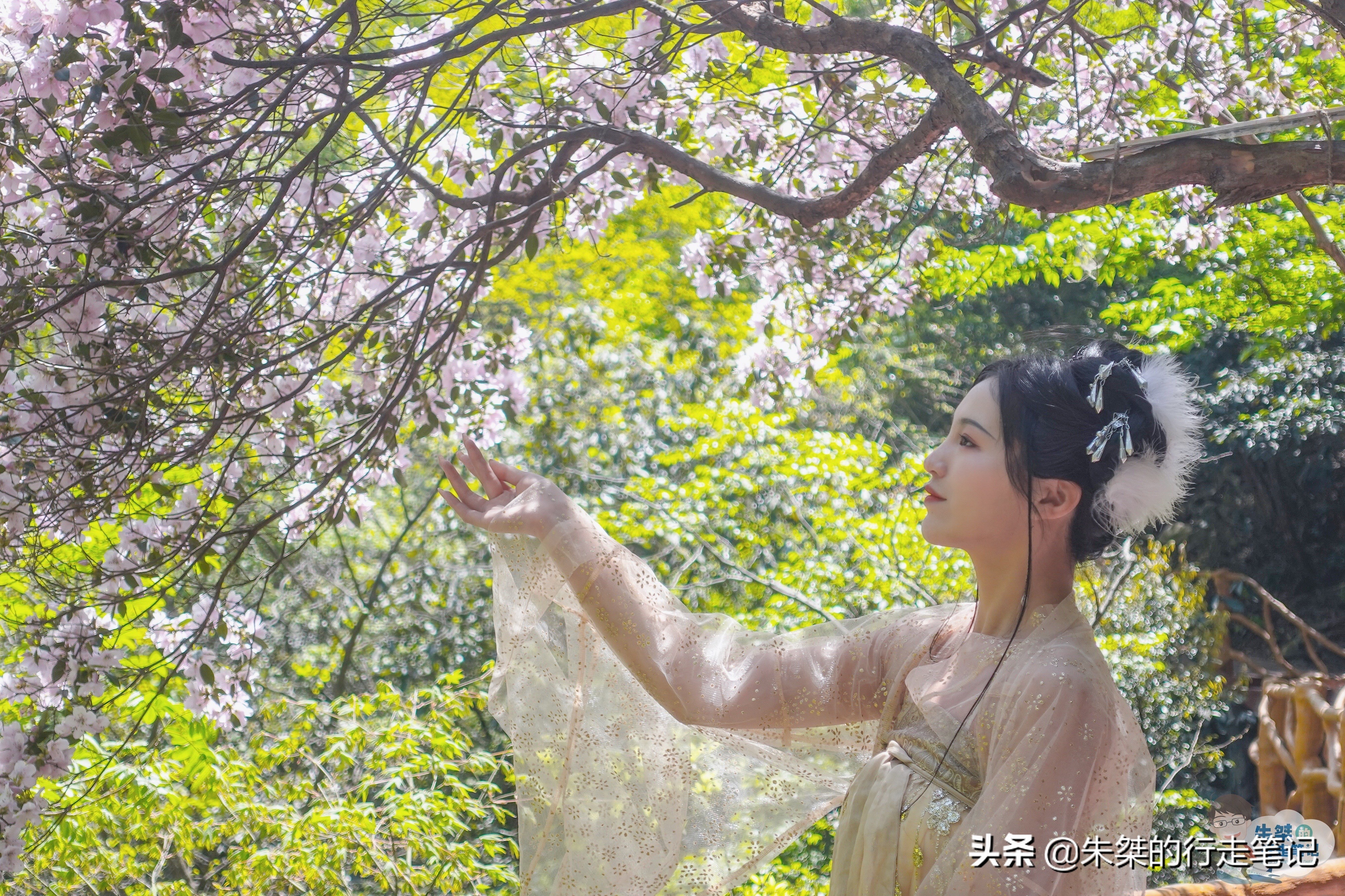 浙江阳光海滩旅游景点,隐藏在宁波的绝美沙滩