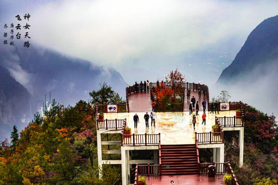 巫山红叶全攻略,巫山红叶2020