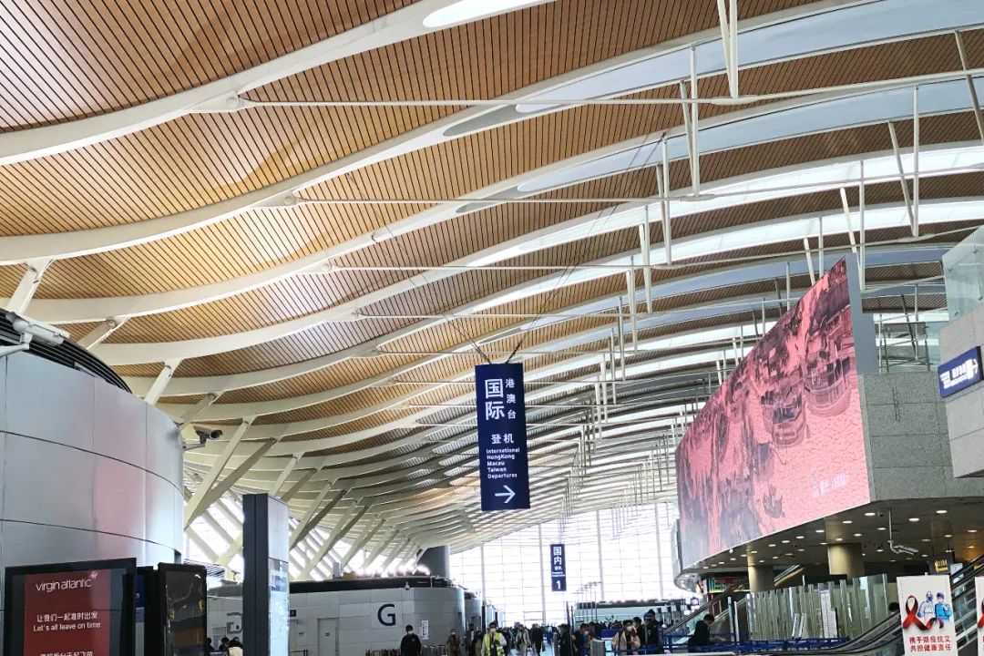 最新去澳门需要办什么手续,澳门入境最新旅游攻略