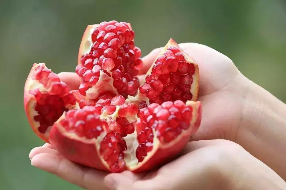 钂欒嚜鐭虫Υ缃戠粶钀ラ攢,钂欒嚜鐭虫Υ浣曞幓浣曚粠