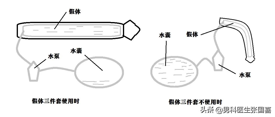 「知识点满满的科普文」人人都喜欢啪啪啪,他们到底是为了啥?