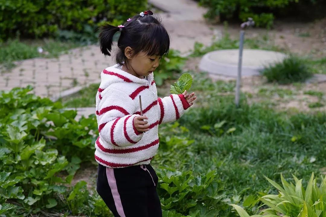 交作业啦！转接环大作战，战果展示第一章