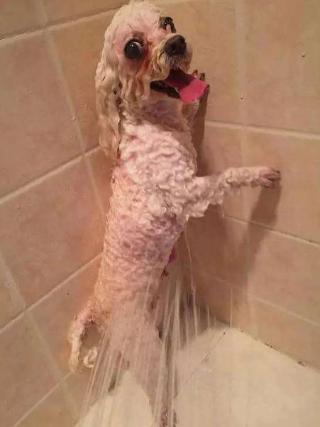 做好这五件事才能做得更好,做好这5件事让你快乐起来